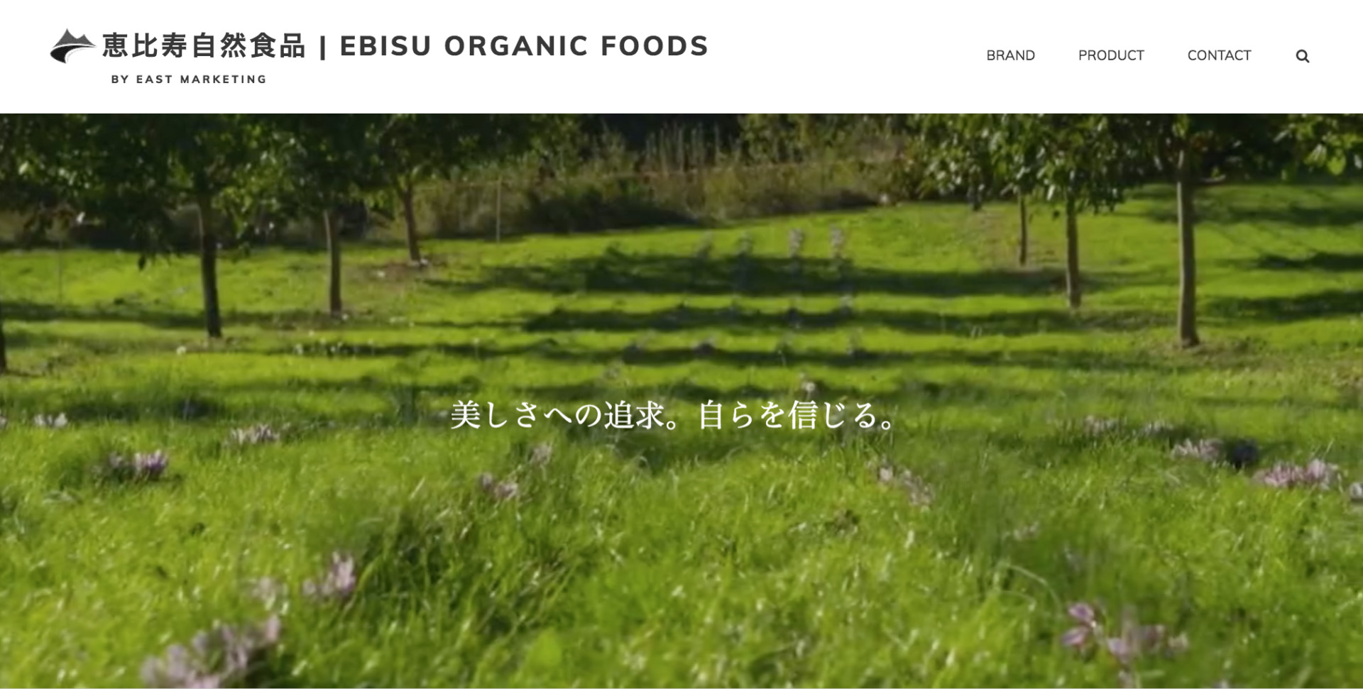 UIデザインイメージ